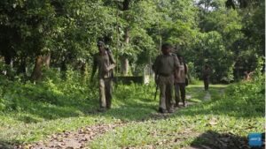 UN experts call for release of Adivasi rights defenders in Assam