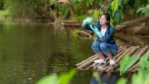 UNESCO warns against gaps in global science