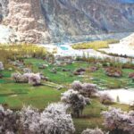 Turtuk: A hidden paradise in the Himalayas