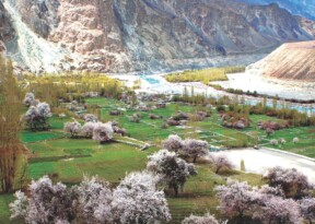 Turtuk: A hidden paradise in the Himalayas