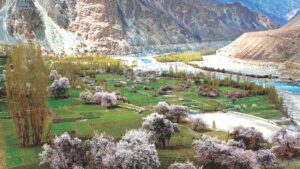 Turtuk: A hidden paradise in the Himalayas