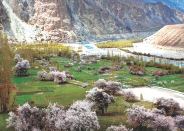 Turtuk: A hidden paradise in the Himalayas