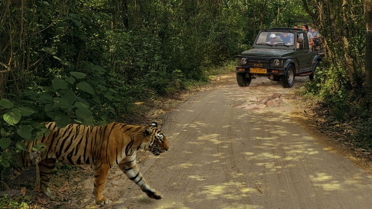 Strong response to advance safari bookings for Ranthambore 