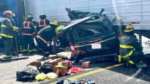 Truck drivers from Punjab, Haryana hit as US cancels over 28,000 licences