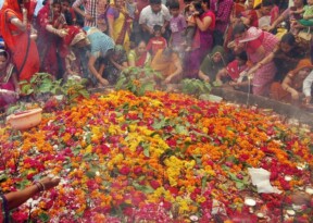 Nag Panchami: One festival, many traditions