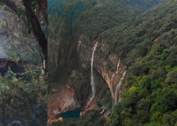 The Habitats Trust awards INR 33 million to six conservation projects
