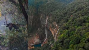 The Habitats Trust awards INR 33 million to six conservation projects