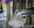 ISMA puts profits before precision as sugar forecasts fail for 4th consecutive year