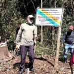 Activists welcome as Brazil completes demarcation of uncontacted Kawahiva territory 