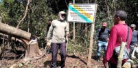 Activists welcome as Brazil completes demarcation of uncontacted Kawahiva territory 