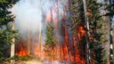 From Paper Leaks to Climate Breakthroughs: Challenges for Gen Z