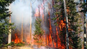 From Paper Leaks to Climate Breakthroughs 