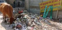 Mounting garbage on Delhi streets as MCD demolishes local garbage collection points