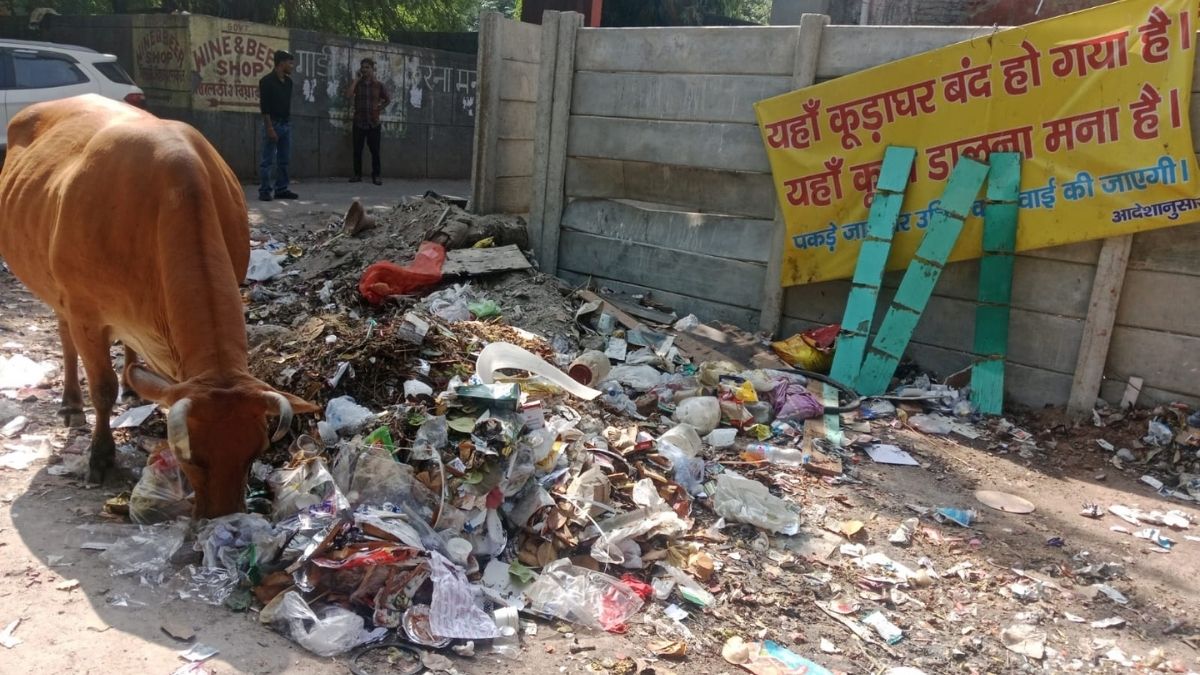 Mounting garbage on Delhi streets as MCD demolishes local garbage collection points