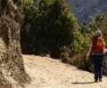 ATOAI urges stronger regulation of high-volume, low-cost trekking in India