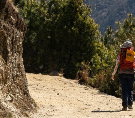 ATOAI urges stronger regulation of high-volume, low-cost trekking in India