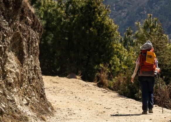 ATOAI urges stronger regulation of high-volume, low-cost trekking in India