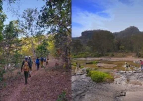 Pugdundee Safaris launches walking safari in Satpura Tiger Reserve