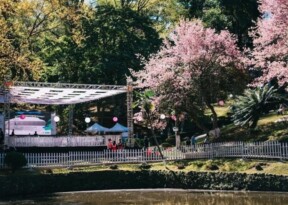 6th Shillong Literary Festival to be held from November 12-14