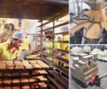 Indian food processing industry: Limited appetite for value-added exports