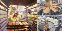 Indian food processing industry: Limited appetite for value-added exports