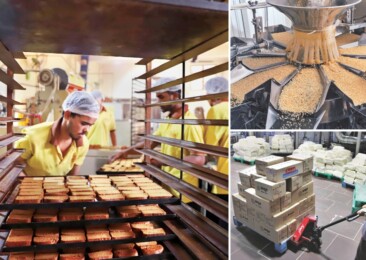 Indian food processing industry: Limited appetite for value-added exports