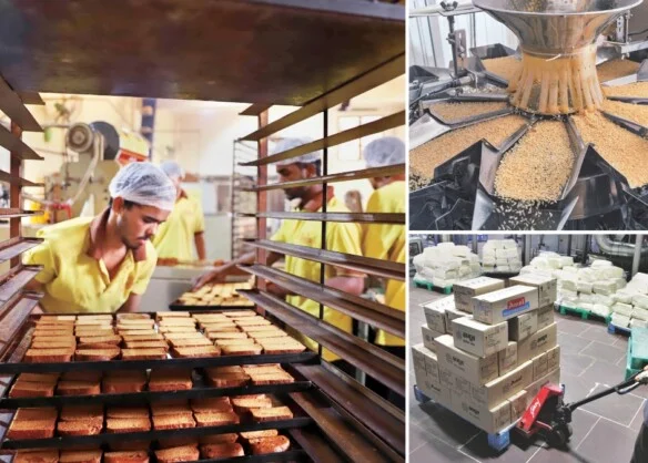 Indian food processing industry: Limited appetite for value-added exports