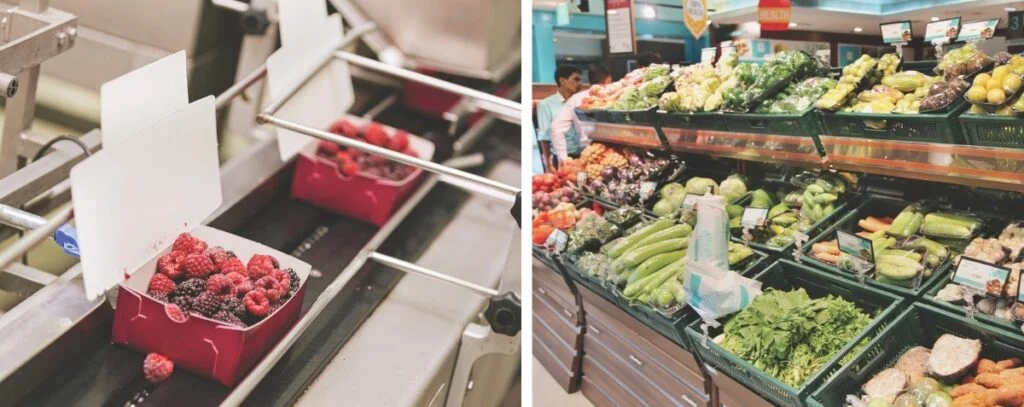 Packed berries on a processing line (left) and fresh produce at a supermarket (right).