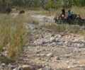 ATOAI to host 18th Annual Adventure Convention in Jim Corbett from December 13-16