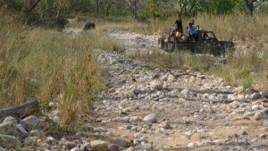 ATOAI to host 18th Annual Adventure Convention in Jim Corbett from December 13-16
