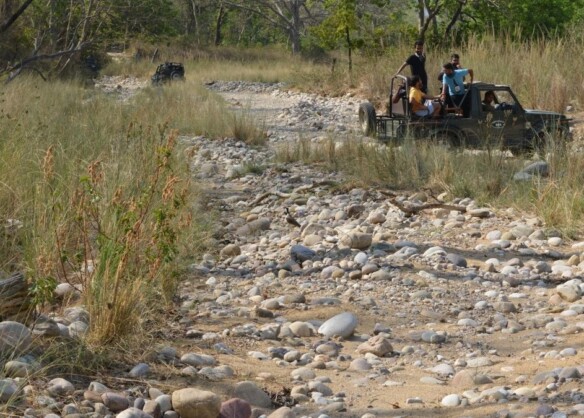ATOAI to host 18th Annual Adventure Convention in Jim Corbett from December 13-16