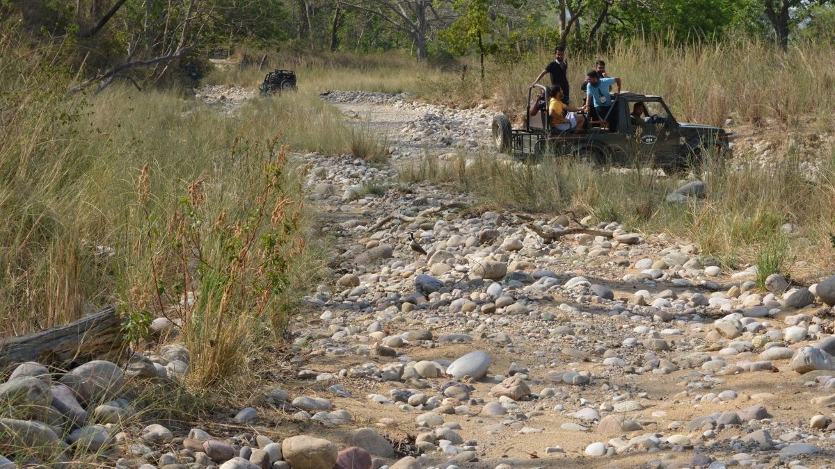 ATOAI to host 18th Annual Adventure Convention in Jim Corbett from December 13-16