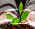 The global mirage of sustainable farming