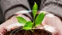 The global mirage of sustainable farming