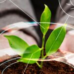 The global mirage of sustainable farming