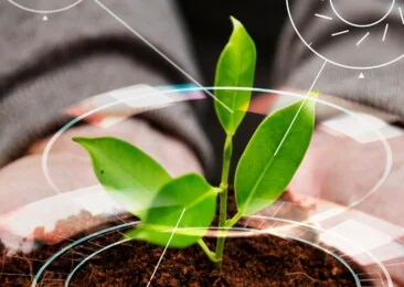 The global mirage of sustainable farming
