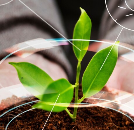 The global mirage of sustainable farming